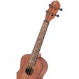 Ortega RU4MM 4 Saiten Bonfire 4 Saiten Konzert Ukulele Thumbnail 3