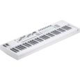 Novation Launchkey 61 MK4 Weiß Thumbnail 2