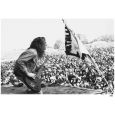 Aria Pro-II SB CLB Cliff Lee Burton Signature E-Bassgitarre Thumbnail 11
