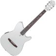 Ibanez TOD10N-SMF Silver Metallic Flat Tim Henson Signature Konzertgitarre