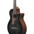 Ibanez AEGB25E-TKH Akustikbass C-Ware Thumbnail 3