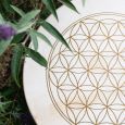 Meinl Sonic Energy Wave Drum 18" Flower of Life mit Ziegenfell Thumbnail 6