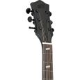 Henry's SuperPaul SP-26 Doug Gray E-Gitarre Thumbnail 6
