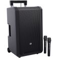 LD Systems ANNY 12 HHD2 B5 Akku BLuetooth PA Lautsprecher mit 2 Funkmikrofonen