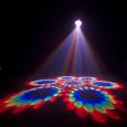 Vermietung - American DJ Revo III LED Lichteffekt - Stk./Tag Thumbnail 2