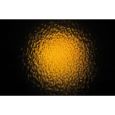 Starzone Aquatic DMX Thumbnail 5