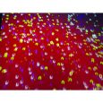 EUROLITE TC-300 DMX Farbwechsler wash Thumbnail 10