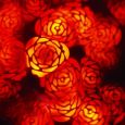 FUTURELIGHT EVO-7 Kaleidosscope Lichteffekt Thumbnail 5
