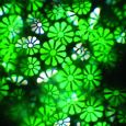 FUTURELIGHT EVO-7 Kaleidosscope Lichteffekt Thumbnail 7