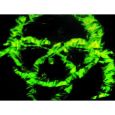 FUTURELIGHT PHS-575 PRO-Head SPOT Thumbnail 9