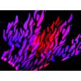 FUTURELIGHT PHS-750E PRO-Head-SPOT Thumbnail 9