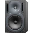 Behringer Truth B2031P (Paar) Thumbnail 2