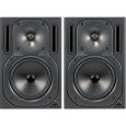 Behringer Truth B2030A (Paar) Thumbnail 1