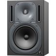 Behringer Truth B2030P (Paar) Thumbnail 2