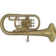STAGG 77-AH Es Alt Horn im ABS-Koffer Thumbnail 1