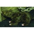 Ratte lebensecht mit Fell Thumbnail 1