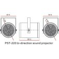 DAP PST220 IP44 Bi-Direction 20W Thumbnail 2