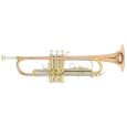 Roy Benson Bb-Trompete TR-202G Thumbnail 1