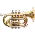 Roy Benson Bb-Taschentrompete PT-302 Thumbnail 1