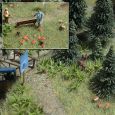 1203 Farne & Pilze Thumbnail 1