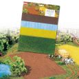 7175 Feld, Wiese, Acker und See (jeweils 31 x 21,5 cm) Thumbnail 1