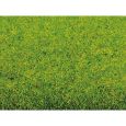 00010 Frühlingswiese, Grasmatte 200 x 100 cm Thumbnail 3
