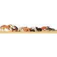 14165 Hunde und Katzen Thumbnail 1