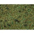 08350 Waldboden, 20 g-Beutel Thumbnail 1