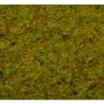 50190 Sommerwiesen-Gras, 100 g-Beutel Thumbnail 1