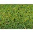 00270 Blumenwiese Grasmatte 120 x 60 cm Thumbnail 3