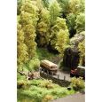 23100 Naturbäume Thumbnail 5