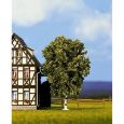 21640 Birke, 11,5 cm hoch Thumbnail 1