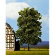 21780 Linde, 18,5 cm hoch Thumbnail 1