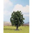 25860 Eiche, 16 cm Thumbnail 1
