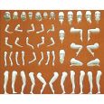 45901 Modellfigur Eva 7 unbemalte Modellfiguren Thumbnail 1
