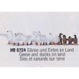 0210724 Gänse und Enten an Land H0