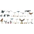 10169 Tauben, Möwen, Krähen und Raubvögel Thumbnail 1