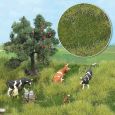1306 Sommeraue, 2-farbig