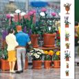 1209 Blumentopf-Set Thumbnail 1
