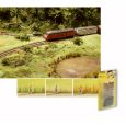 07060 Schilfgras-Sortiment, grün, beige, braun Thumbnail 1