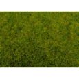 50210 Frühlingswiesen-Gras, 100 g-Beutel, verschließbar Thumbnail 1