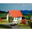 130316 Einfamilienhaus, grau