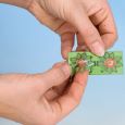 14102 Laser minis Schilf 8 Pflanzen Thumbnail 2