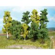1380 40 Bäume, super artline 10-18 cm hoch Thumbnail 1