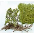 1532 Bäume, 15 cm hoch (15 Stück) Thumbnail 1