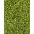 1576 Wildgras/Waldboden, 28 x 14 cm Thumbnail 1