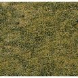1578 Wildgras/Bergwiese, 28 x 14 cm Thumbnail 1
