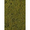 1591 Wiesengras mittelgrün, 28 x 14 cm Thumbnail 1