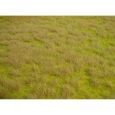 1840 Wildgrasvlies Savanne, 45 x 17 cm Thumbnail 1