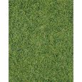1870 Wildgrasmatte wiesengrün Thumbnail 1